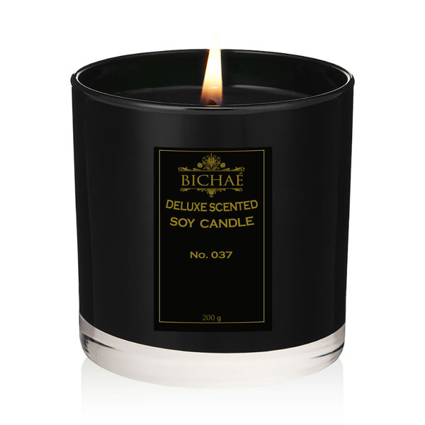BICHAÉ Similar Scent To Black Amber & Ginger Lilies Edp Scented Designer Candle Wayfair.co.uk